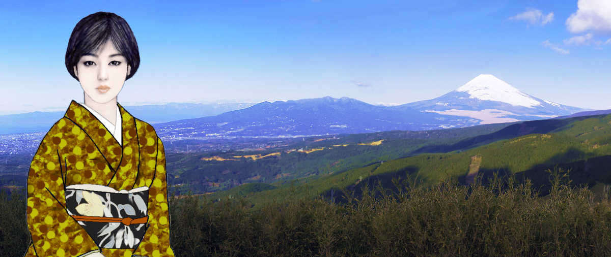 ���q�ƕx�m�R�@�@�\��������