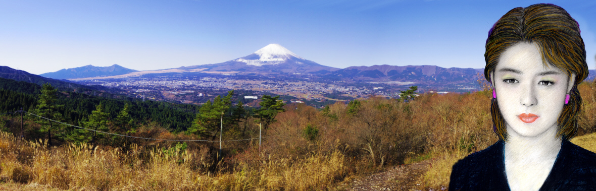 ���a�q�ƕx�m�R�@�@�@����������