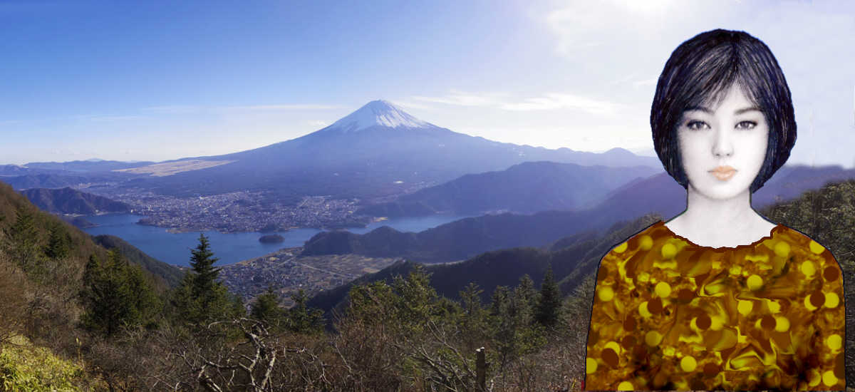 ���q �ƕx�m�R�@�@�V��������