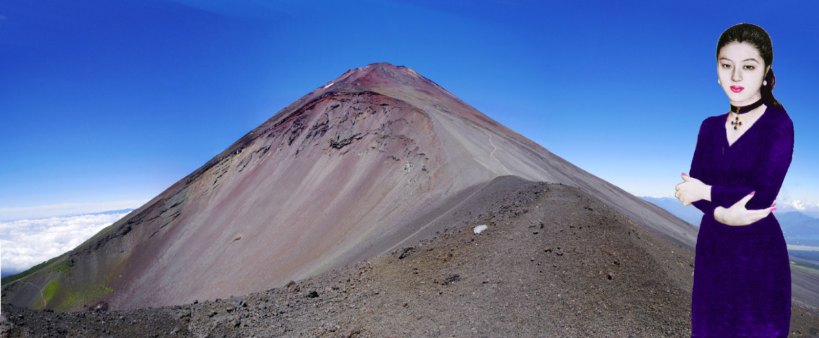 �F���q�ƕx�m�R�@�@��i�R����