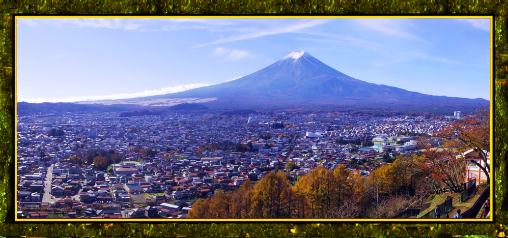 �V�q�R��Ԍ���