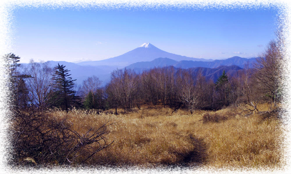 �僖�����R