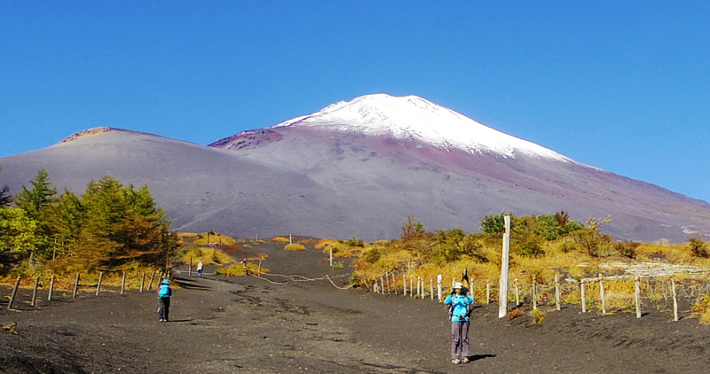 ��a��5���ڂ����Β���,�x�m�R�ƕ�i�R