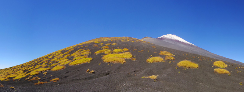 ��c�ˏ�˂ƕ�i�R�ƕx�m�R