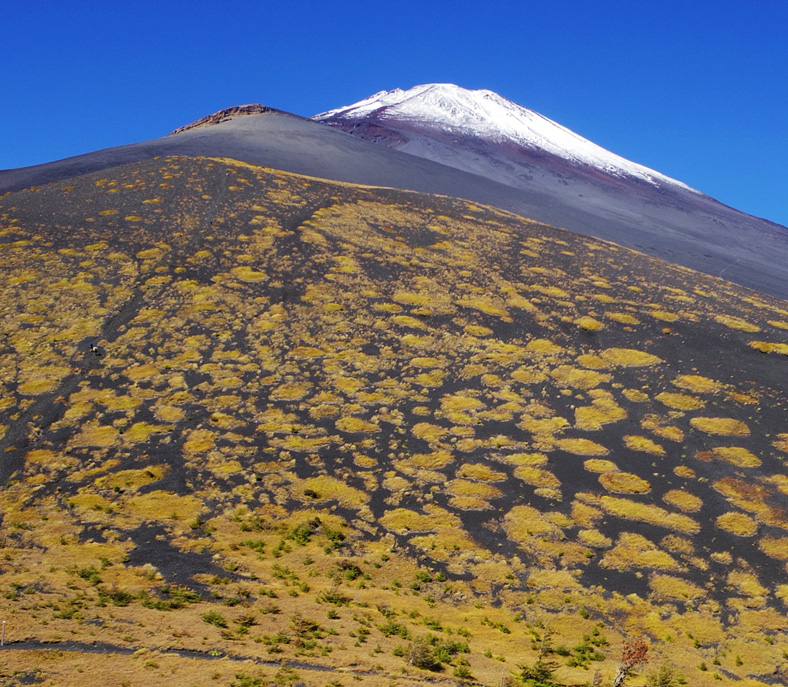 ��c�ˏ�ˎR������̓�c�ˏ�˂ƕ�i�R�ƕx�m�R