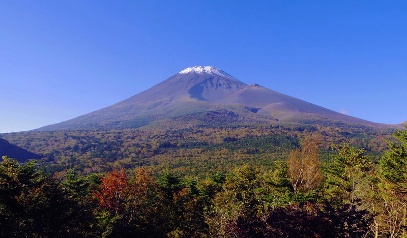 ���ؒ˓W�]�n����̕x�m�R