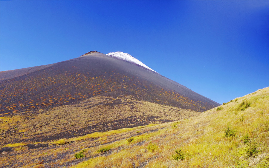 ��c�ˏ�ˉ��R�r���@�R�@�@�@�@��i�R�ƕx�m�R