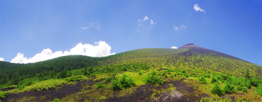 �l�ҕt�߂���̕�i�R