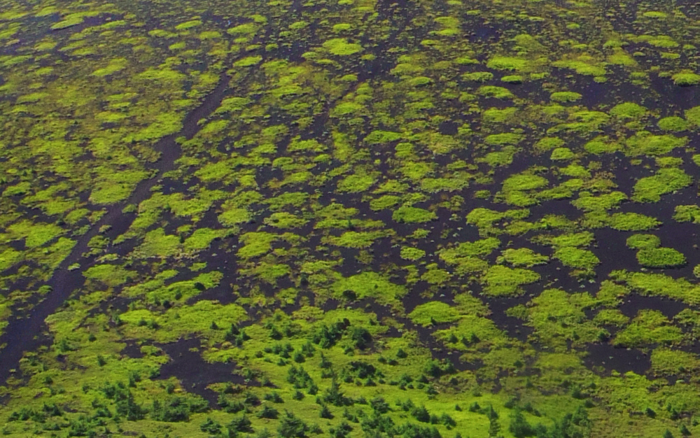 ��c�ˉ��ˎR���t�߂���̓�c�ˏ�˓o�R��