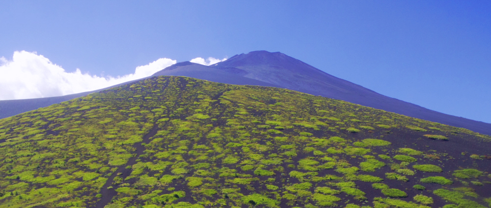 ��c�ˉ��ˎR���t�߂���̓�c�ˏ�˓o�R��