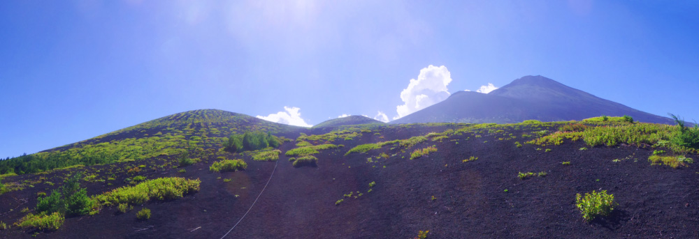 ��c�ˉ��˂����Β����ɉ���铹����