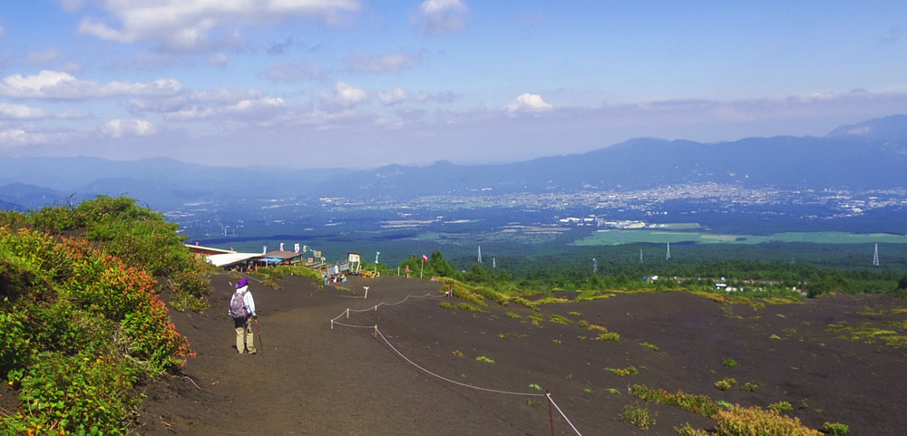 ��a����V�܍��ڏ�̑�Β�������