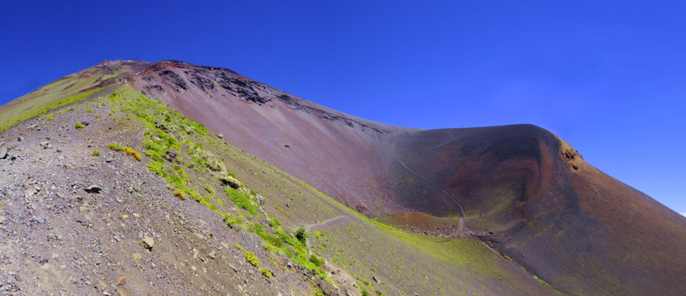 ��i���Ό�������@�Q