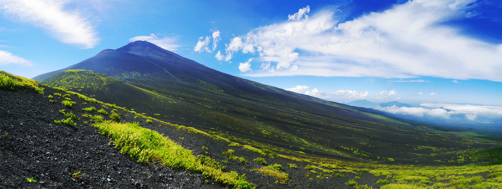 �x�m�R�ƕ�i�R�@�@�@��c�ˏ�˂���@�P