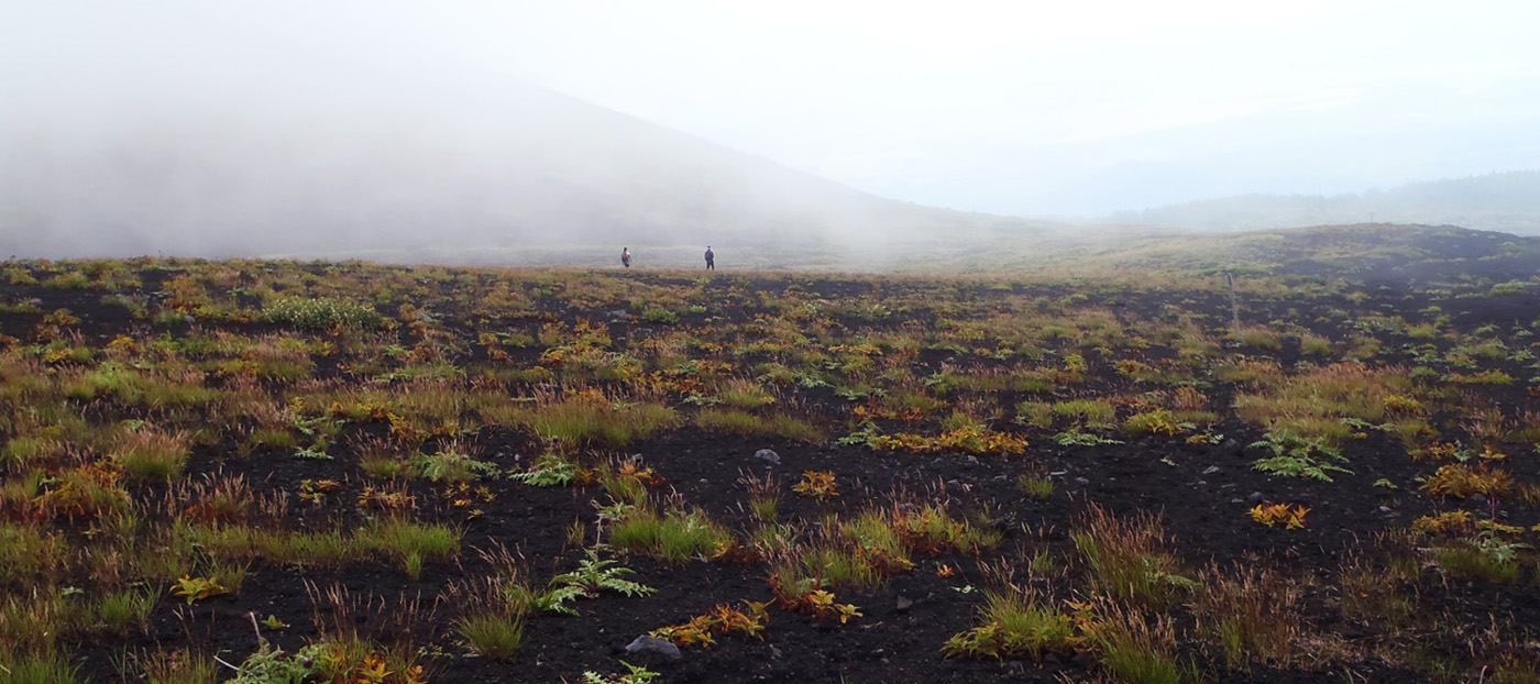 �p�C�I�j�A�A���Q��������