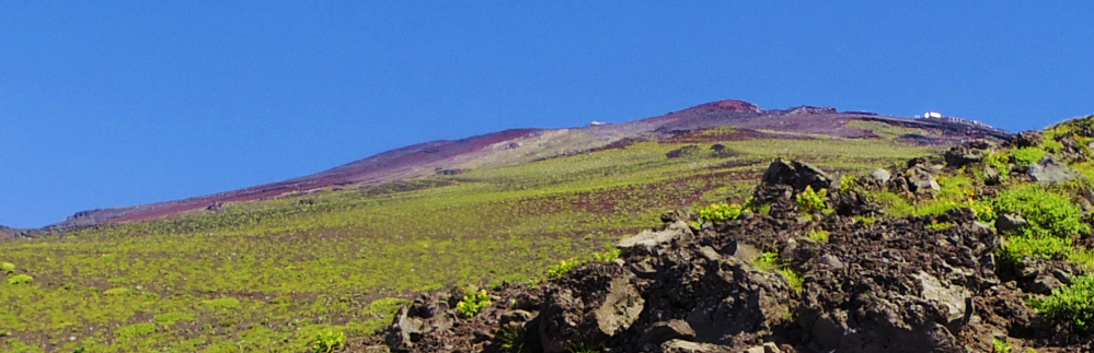 �x�m�{���܍��ځ`�Z���ڂ���̕x�m�R