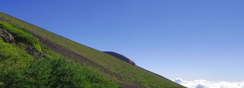 �x�m�{���܍��ځ`�Z���ڂ����i�R