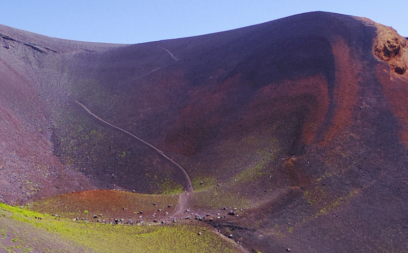 ��i�R�o�R���ƕ�i�R