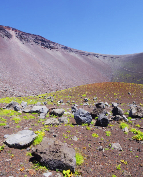 ��i���Ό�