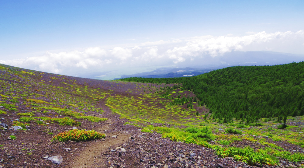 ��i��O�Ό��@�Ό��ォ��