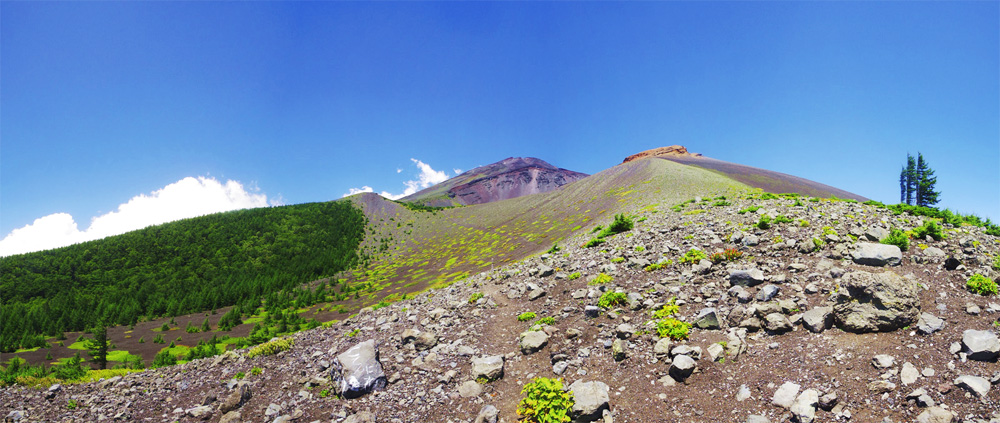 �x�m�R�ƕ�i���Ό��ƕ�i��O�Ό��@�@�@��a��ォ��