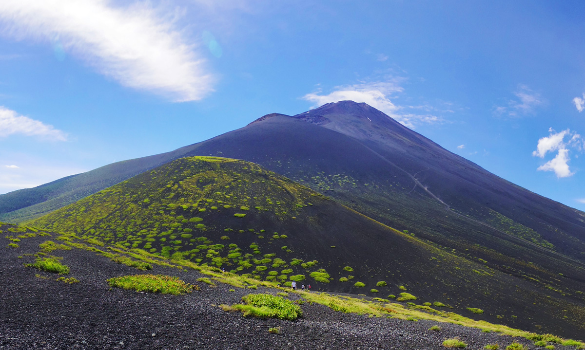 �x�m�R�ƕ�i�R�Ɠ�c�ˏ��