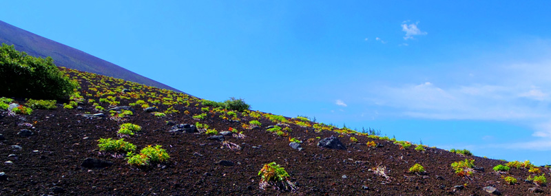 �x�m�R�䒆���E����x-���@�R�@�@�@�F�Â����p�C�I�j�A�A��