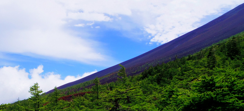 �x�m�R�䒆���E����x-���@�S�@�@�@������͑N��