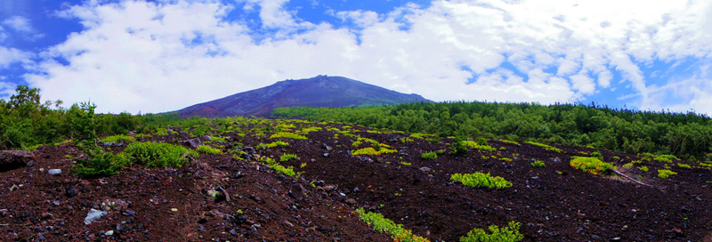 �x�m�R�䒆���E���-������@�R�@�@�@�@����E�݂���̕x�m�R