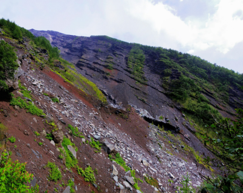 �x�m�R�䒆���E������@�Q�@�@�@�@�ˑR���ꈳ�|�����i��