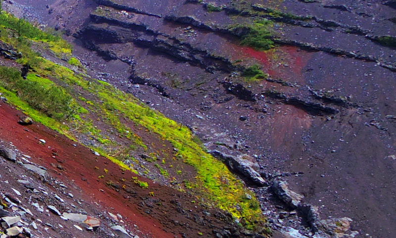 �x�m�R�䒆���E������@�S