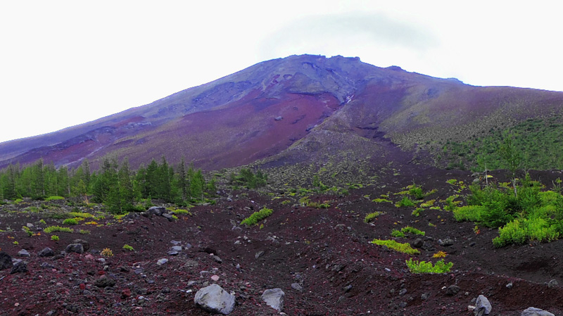 �x�m�R�䒆���E���-����x�@�P