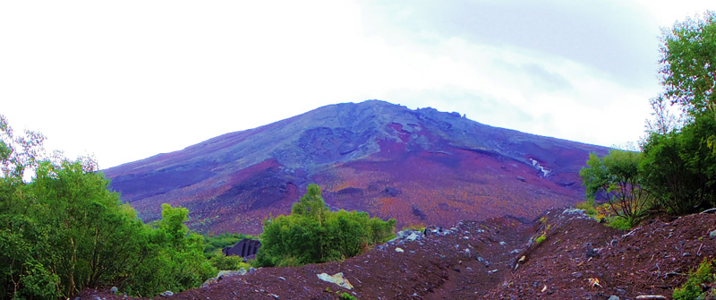 �x�m�R�䒆���E���-����x�@�Q�@�@�@�X�ь��E�̌������ɕx�m�R��