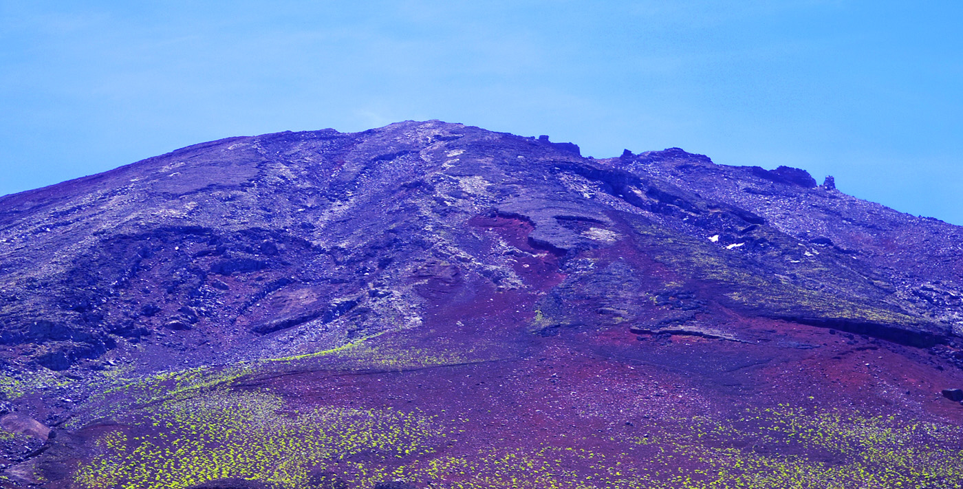 �x�m�R�̒����@����x-���@�P�O�@�@�x�m�R��