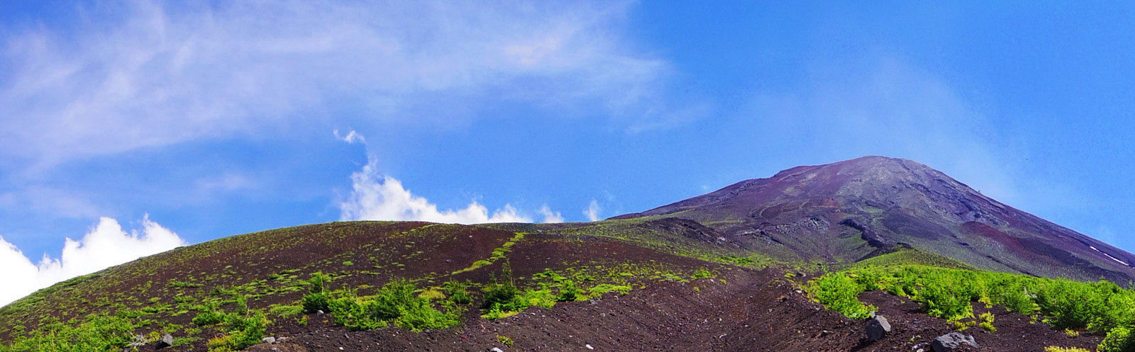 �x�m�R�䒆���@���-����x�@�R�@�@�x�m�R�̉����璭�߂�x�m�R��