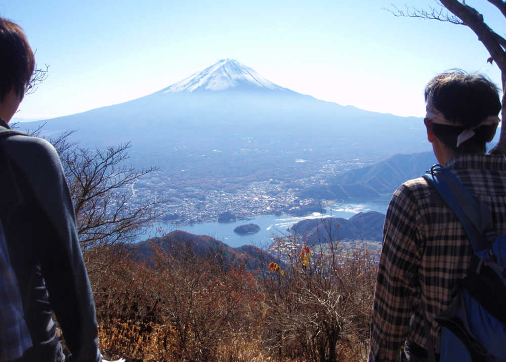 ��⍕�x����x�m�R�𒭂߂�l���̔w��