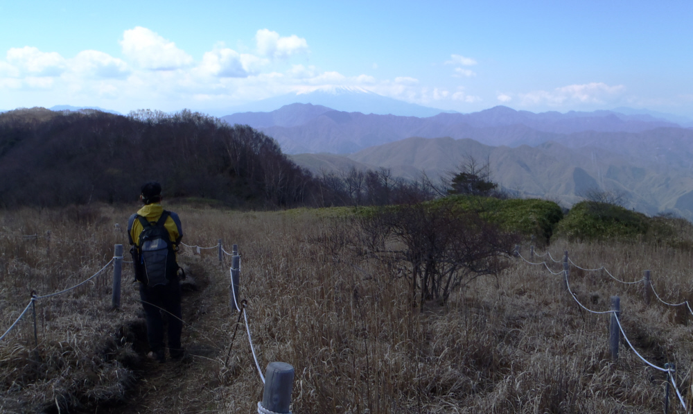 �呠���ۂŕx�m�R�𒭂߂�l���̌��p