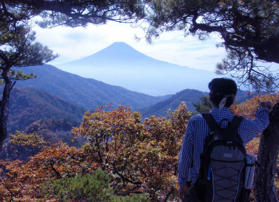 �����R�ŕx�m�R�𒭂߂�l���̔w���p