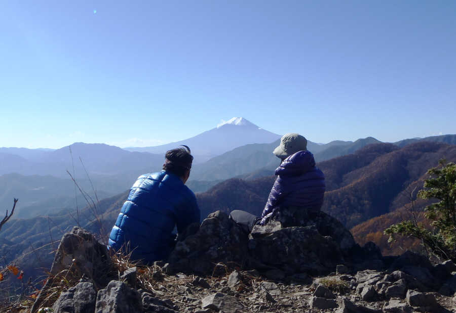 �W�q�R����x�m�R�𒭂߂�v�w�̌��p