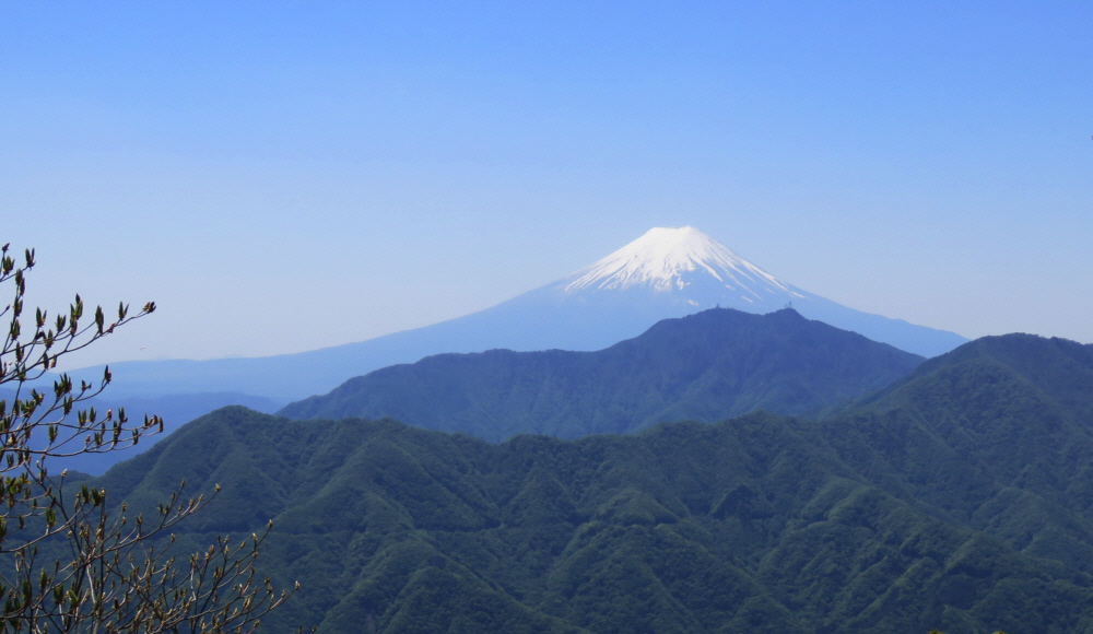 ��q�R����̕x�m�R�@ 2018..5.5