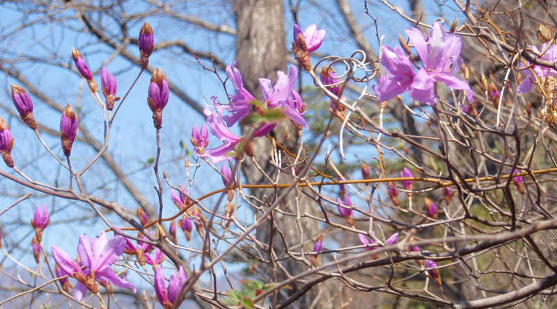 �~�c�o�c�c�W