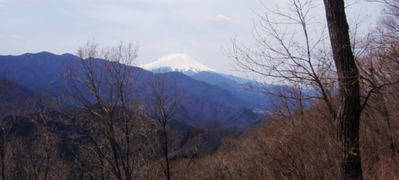 �q�x�R����̕x�m�R�@2008.3.29