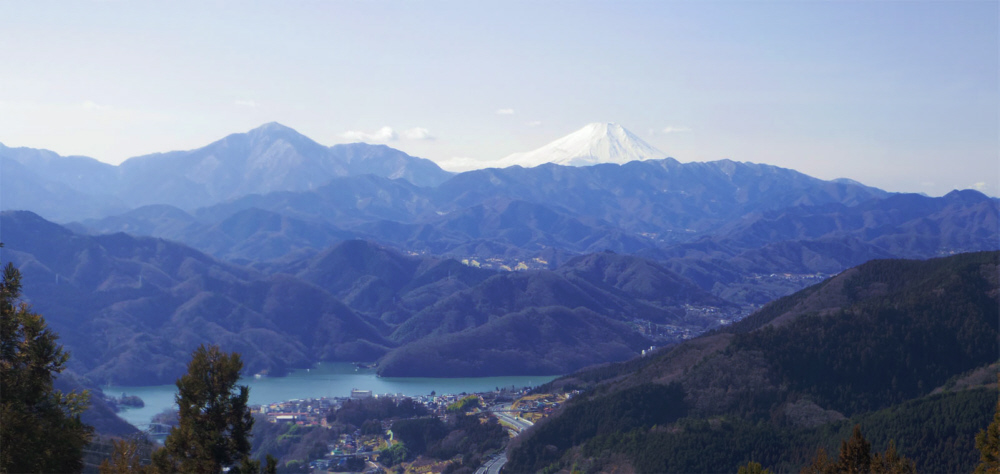 ��������̕x�m�R�W�]�n����̕x�m�R�Ƒ��͌�