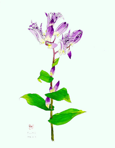 �z�g�g�M�X