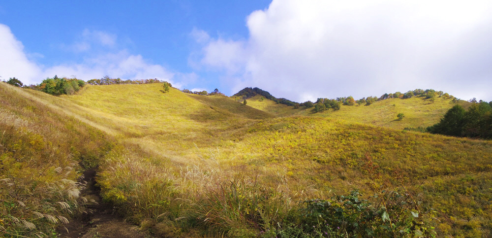 ������������̃J���g�̌�