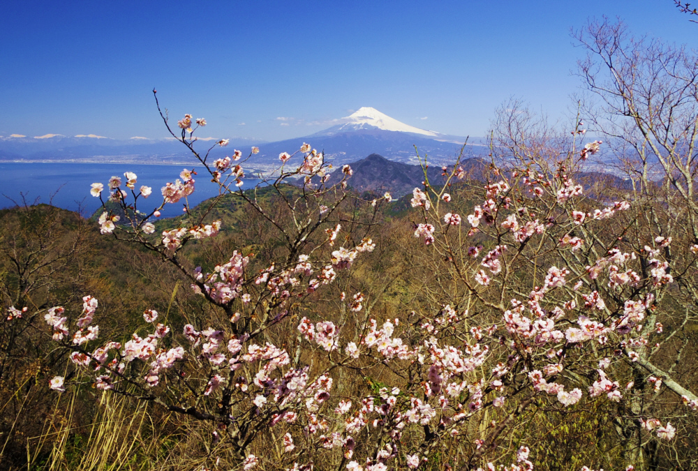 3���@�@����R����̔~�Ƒ��͘p�ƕx�m�R