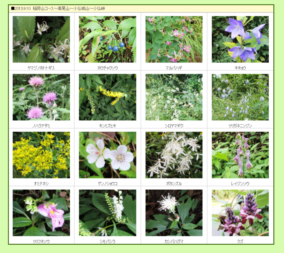 �����R�̐A���A�ԁ@9��