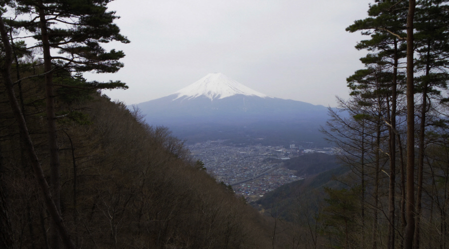 �V�q�R�W�]�䂩��̕x�m�R�@2014.4.16