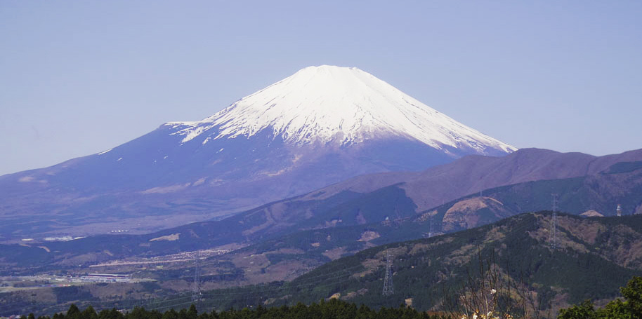 �s�V�R�����d�g������̕x�m�R