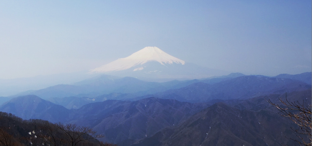 5���@�w���ۂ̃V�����V������̕x�m�R